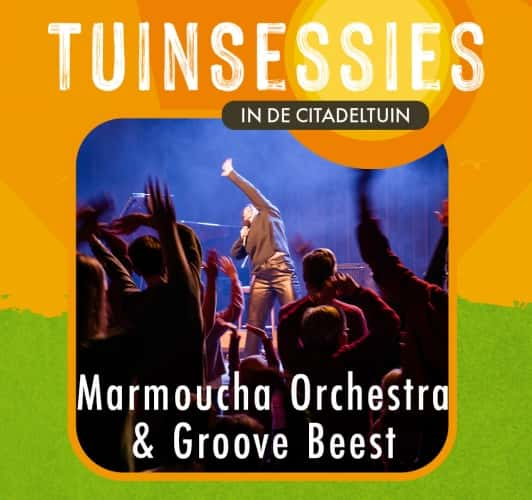 Wandering Roots tijdens Groove Beest | Theater aan de Parade tuinsessies